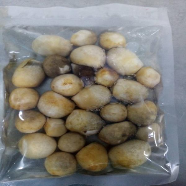 เห็ดฟางในน้ำเกลือ