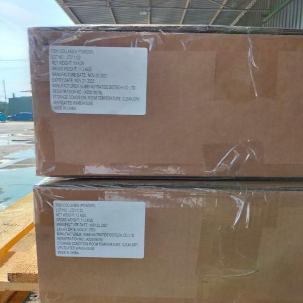 ฟิช คอลลาเจน