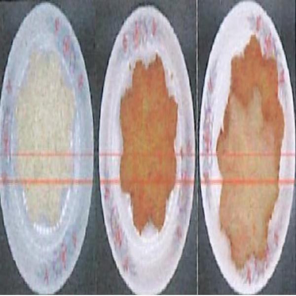 กุ้งชุบแป้งสำหรับทอดขนาด 65 กรัม