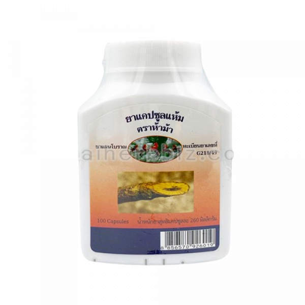 COSCINIUM FENESTRATUM CAPSULE