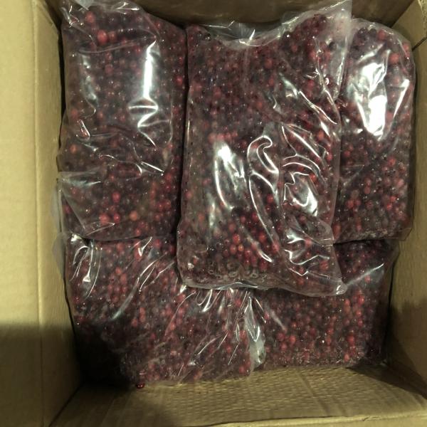 ลิงกอนเบอร์รี่