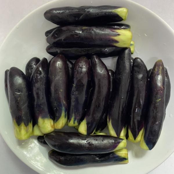 CHUKAN TSUKE EGGPLANT