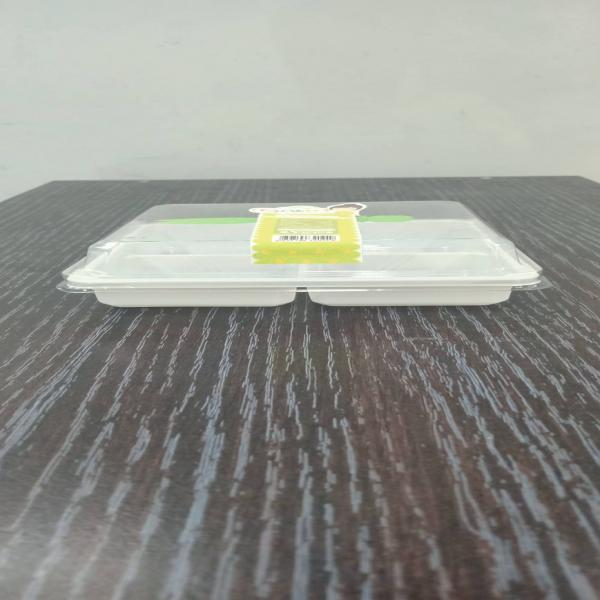 Pandan and Coconut Milk Jelly