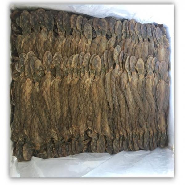 หมึกสายปรุงรสอบแห้ง