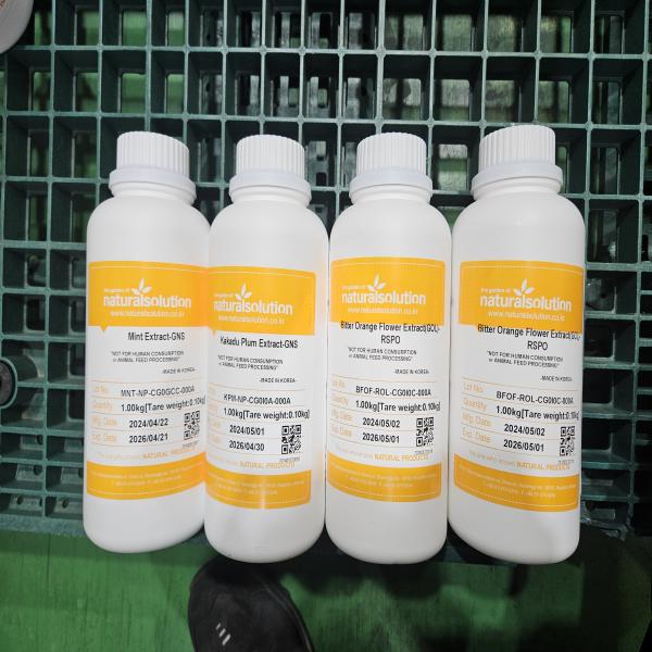 MINT EXTRACT-GNS/ Korea