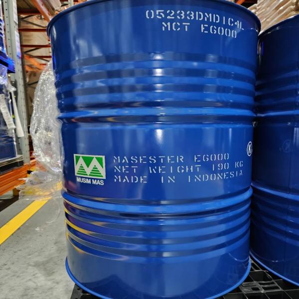 แมสเอสเตอร์ อี6000