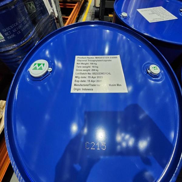 แมสเอสเตอร์ อี6000