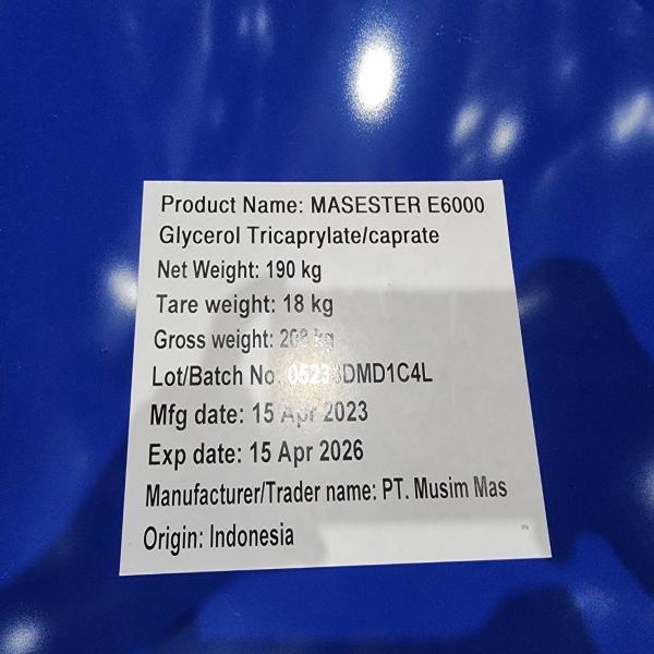 แมสเอสเตอร์ อี6000