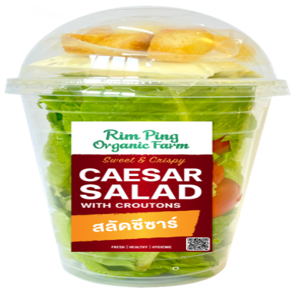 สลัดซีซาร์ (แบบบรรจุแก้ว)