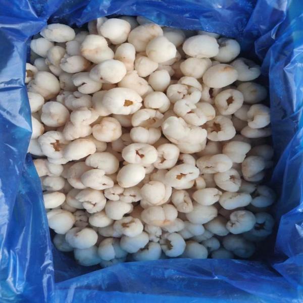 ลิ้นจี่