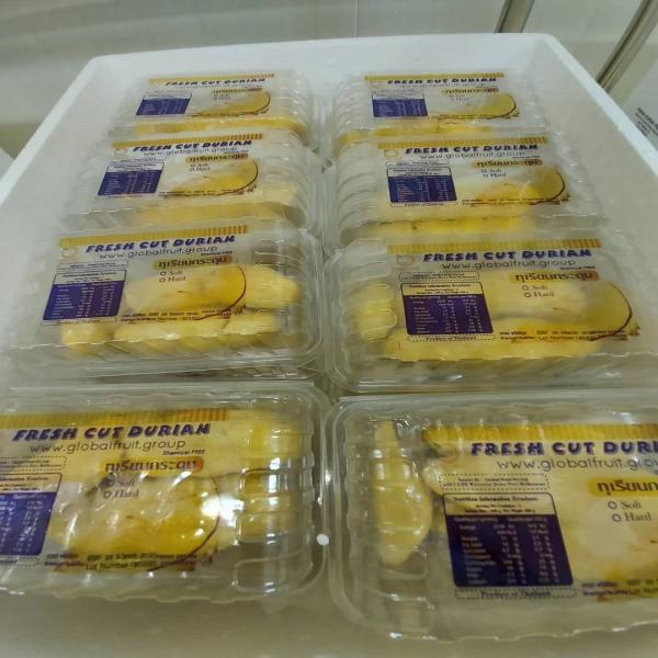 Frozen Durian