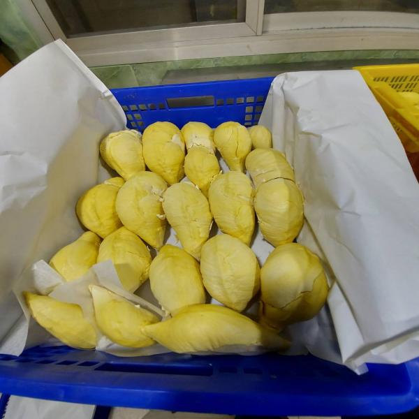 Frozen Durian