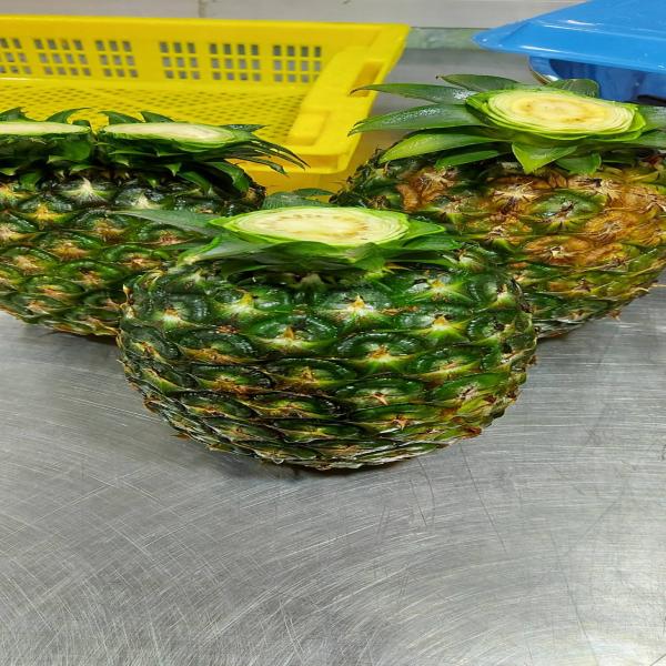 Pineapple Juice Concentrate