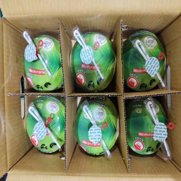 FRESH AROMATIC COCONUT EASY TO DRINK COCO THUMB BRAND