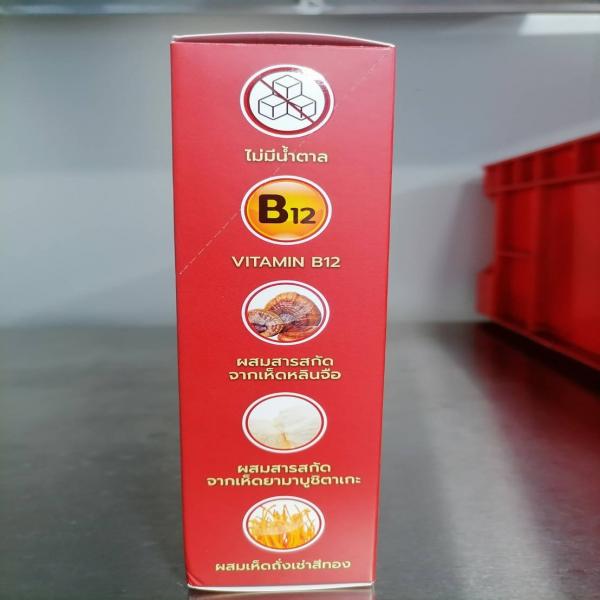 Vi Plus MUSHROOM COFFEE EXTRACT (Un Sweetened)