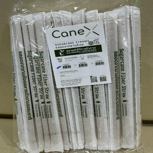 Sugarcane Straws size 6x210 mm Flat cut