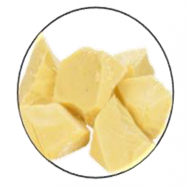 DEODORISED COCOA BUTTER FAVORICH G-200-DB