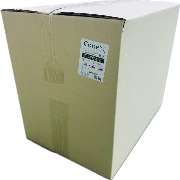 Sugarcane Straws size 8x210 mm Flat cut