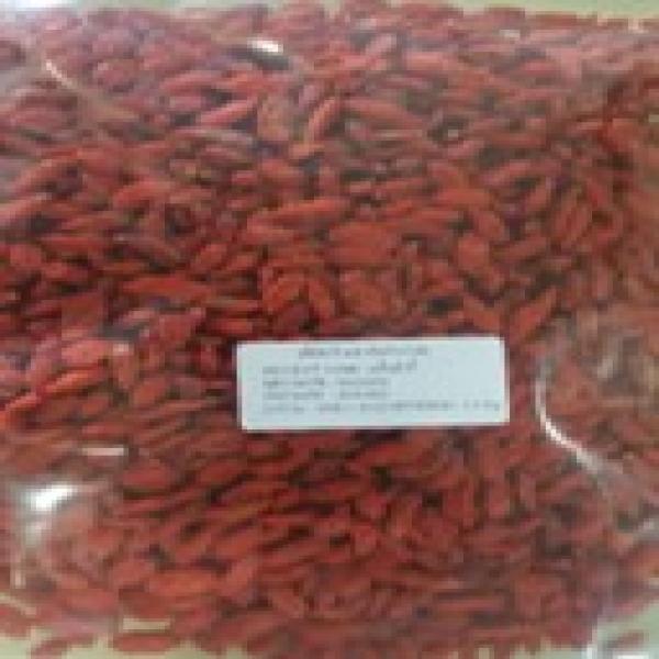 GOJI BERRY