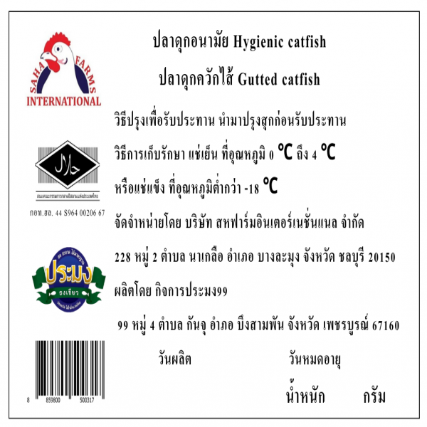 Hygienic catfish (Gutted catfish)