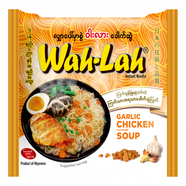 Garlic Chicken Flavoured Soup