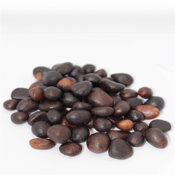 palm kernel