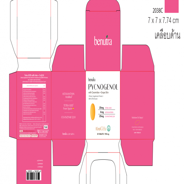 พิกโนจีนอล วิท เซราไมด์ จากสารสกัดข้าว พลัส เกรป สกิน ผลิตภัณฑ์เสริมอาหาร