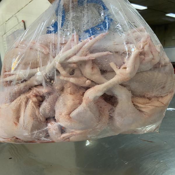 ไก่ล้วง