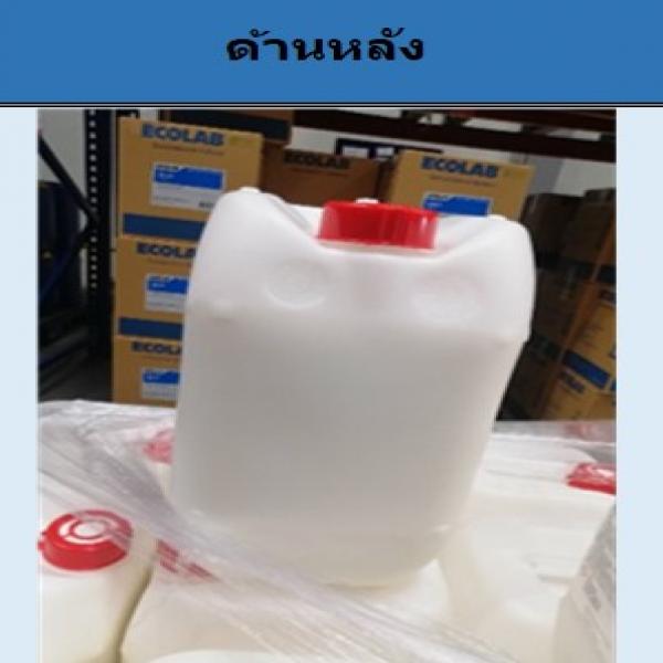 อีโค-สตาร์ ซอฟท์