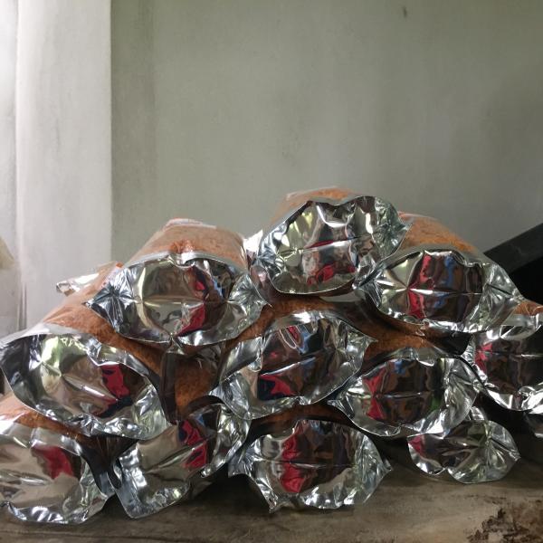 ไก่สวรรค์