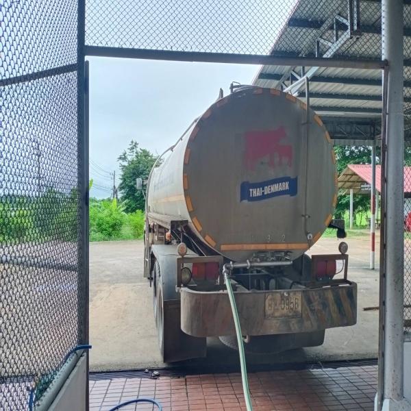 น้ำนมดิบ