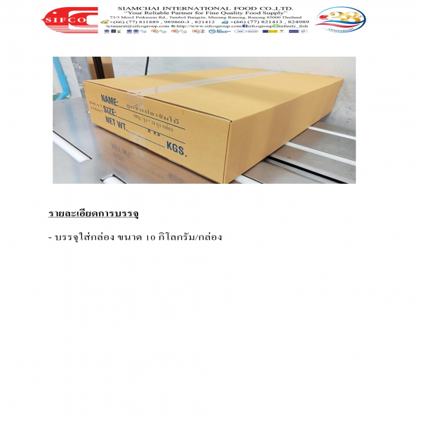 ลูกชิ้นปลาจัมโบ้แช่แข็ง