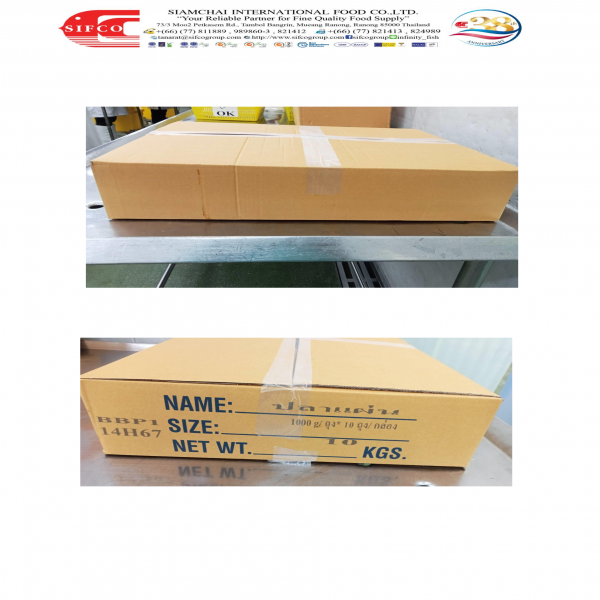 ปลาแผ่นแช่แข็ง