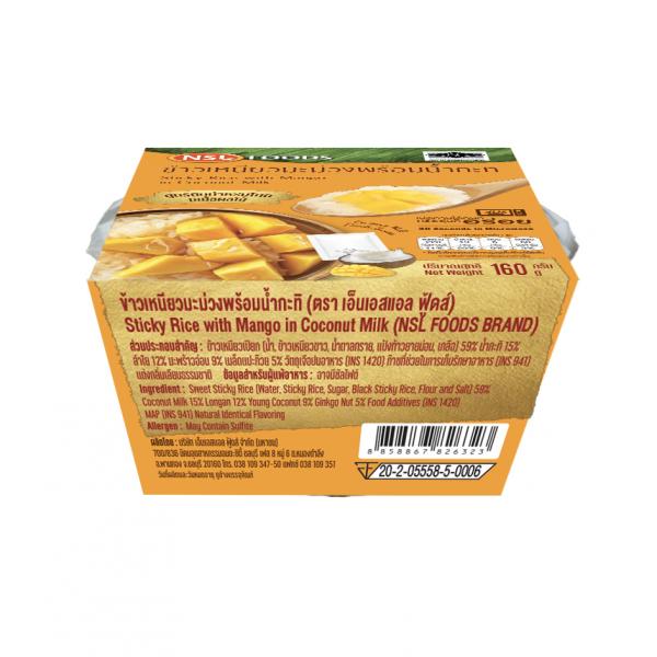 Sticky Rice with Mango in Coconut milk