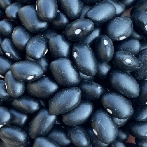 Black beans