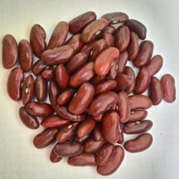 Red kidney beans