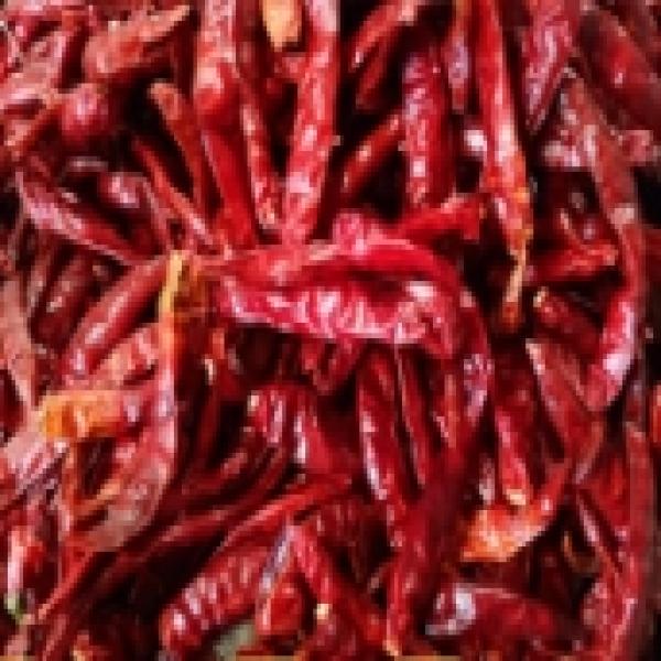 Dried chilli