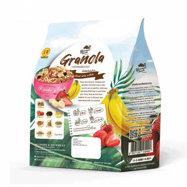 Granola Strawberry and Fruit Flavor