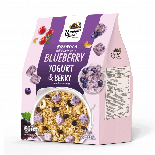 Granola Blueberry Yogurt and Berry Flavor