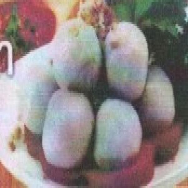 ลูกชิ้นปลาตลาดไท