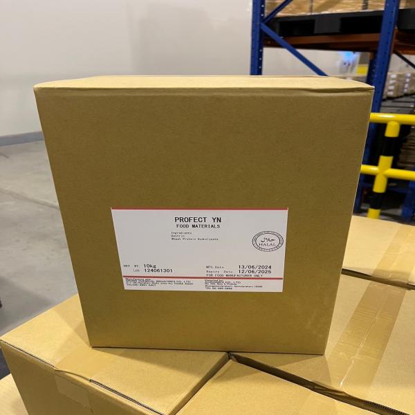 โพรเฟกต์ วายเอ็น