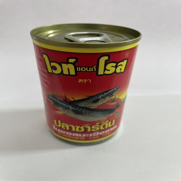 SARDINE IN TOMATO SAUCE