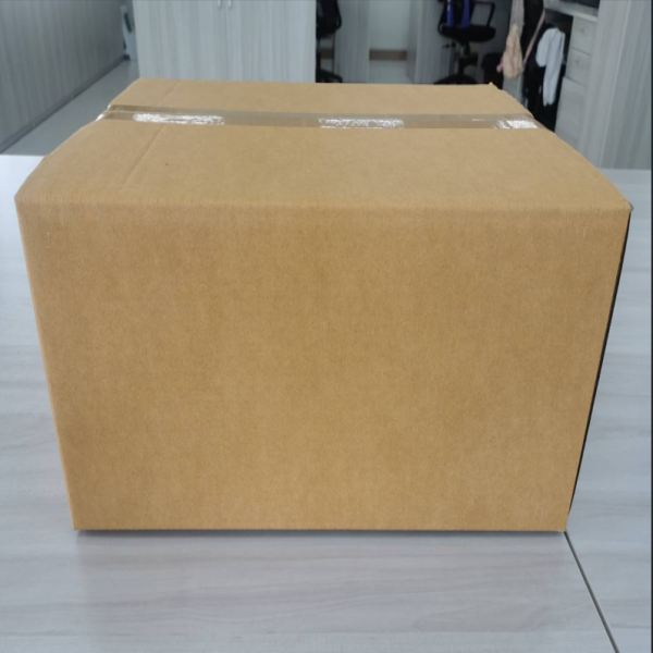 Frozen Lasangna Sheet