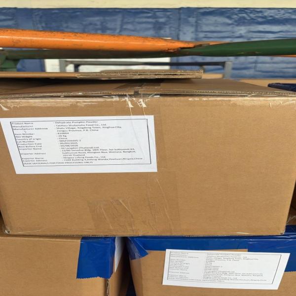 DEHYDRATED PUMPKIN POWDER / CHINA