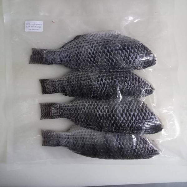 Nile Tilapia Head Less