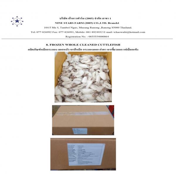 FROZEN WHOLE CLEANED CUTTLEFISH