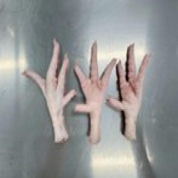 ขาและชิ้นส่วนจากขาไก่