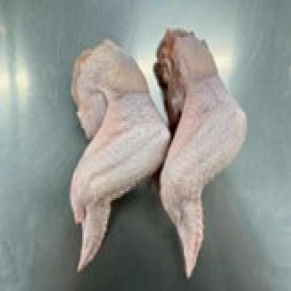 Chicken Wing and parts