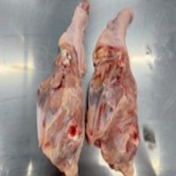 โครงไก่