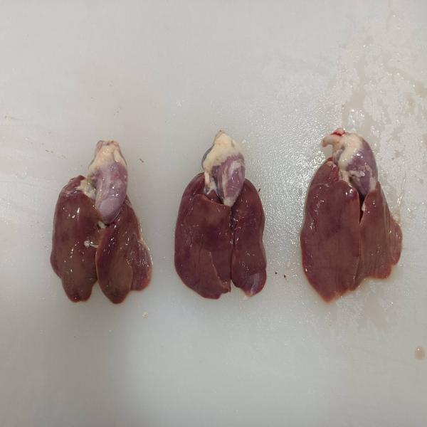 เครื่องในไก่และชิ้นส่วนเครื่องในไก่